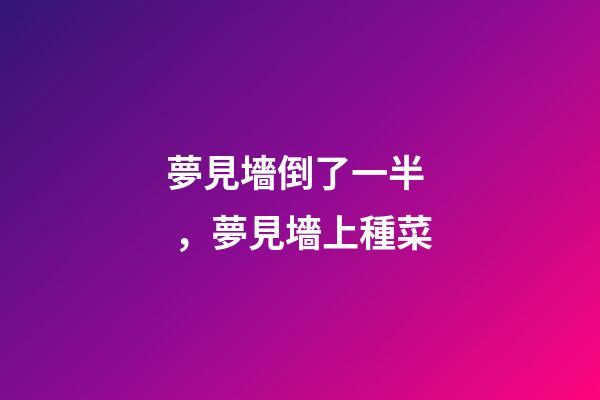 夢見墻倒了一半，夢見墻上種菜